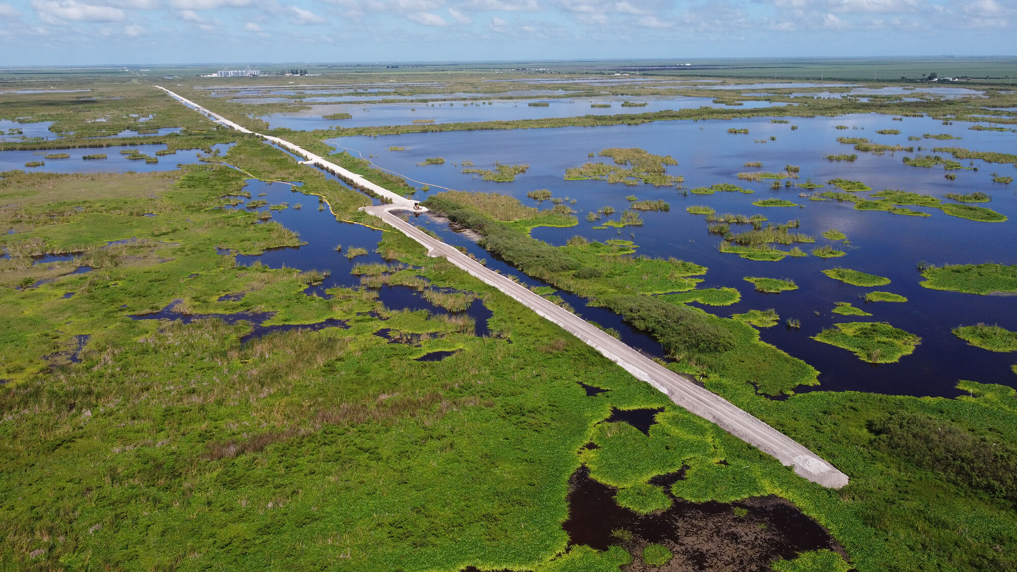Everglades